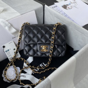 A35200 Mini Flap Bag