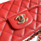 A35200 Mini Flap Bag