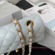 A69900 Mini Flap Bag