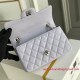 A69900 Mini Flap Bag (Authentic Quality)