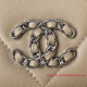 AP0957 Chanel 19 Wallet On Chain