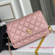 AP1450 Wallet On Chain (Authentic Quality)
