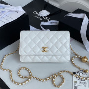 AP1450 Wallet On Chain