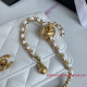 AP1450 Wallet On Chain