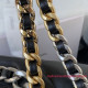 AS1161 Chanel 19 Large Handbag