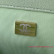 AS1161 Chanel 19 Large Handbag