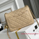 AS1786 Mini Flap Bag (Authentic Quality)