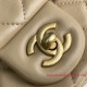AS1786 Mini Flap Bag (Authentic Quality)