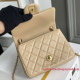 AS1786 Mini Flap Bag (Authentic Quality)