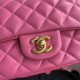 AS1786 Mini Flap Bag
