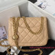 AS4040 Mini Flap Bag