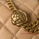 AS4040 Mini Flap Bag