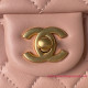 AS4040 Mini Flap Bag