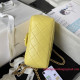 AS4040 Mini Flap Bag