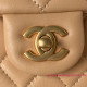 AS4041 Mini Flap Bag