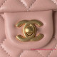 AS4041 Mini Flap Bag