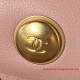 AS4041 Mini Flap Bag