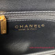 AS3499 Black Shearling Lambskin Gold Tone Metal