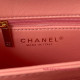 AS3499 Pink Shearling Lambskin Gold Tone Metal