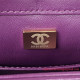 AS3499 Purple Shearling Lambskin Gold Tone Metal