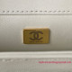 AS3499 White Shearling Lambskin Gold Tone Metal