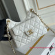 AS3710 Small Hobo Bag （Authentic Quality）