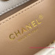 AS3710 Small Hobo Bag （Authentic Quality）