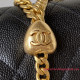 AS3828 Black Grained Calfskin with Gold Tone Metal