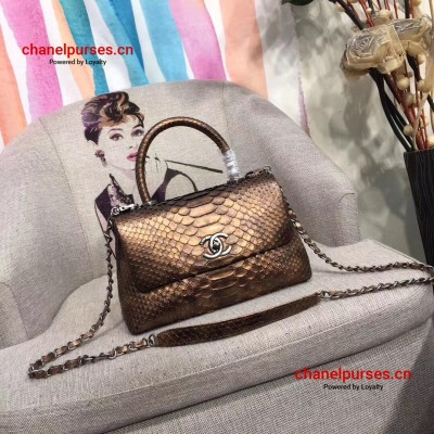 Chanel A93050-python-11 Top Handle Bag Bronze Genuine Python Leather with Silver Hardware