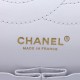 Chanel 2.55 Reissue Flap Bag 227 in Gray Python with aged bronze hardware A37590