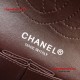 Chanel A37584-4 Reissue 2.55 Size 224 Small Flap Bag