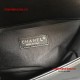 Chanel A67086-32 Medium Metallic Crumpled Goatskin Bag