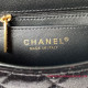 AS3442 Mini Flap Bag In Velvet