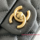 AS3829 Mini Flap Bag (Authentic Quality)