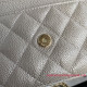 AP0250 Classic Wallet On Chain
