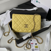 AP3180 Wallet On Chain