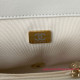 AS3331 Mini Flap Bag