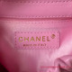 AS3793 Small Bucket Bag