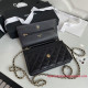 AP0250 Classic Wallet on Chain