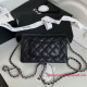 AP0250 Classic Wallet on Chain