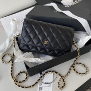 AP0250 Classic Wallet on Chain