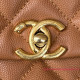 AS3580 Caramel Grained Calfskin Gold Tone Metal