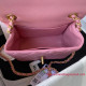 AS3648 Mini Flap Bag