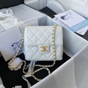 AS3648 Mini Flap Bag