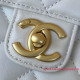 AS3648 Mini Flap Bag