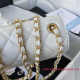 AS3648 Mini Flap Bag