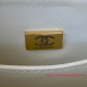 AS3648 Mini Flap Bag