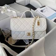 AS3653 Small Flap Bag With Top Handle