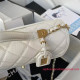 AS3653 Small Flap Bag With Top Handle