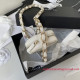 AP2568 Clutch with Chain